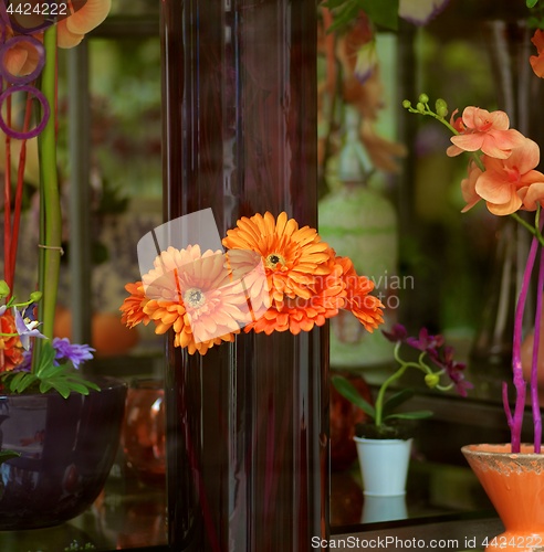 Image of Storefront of Flowers Shop 