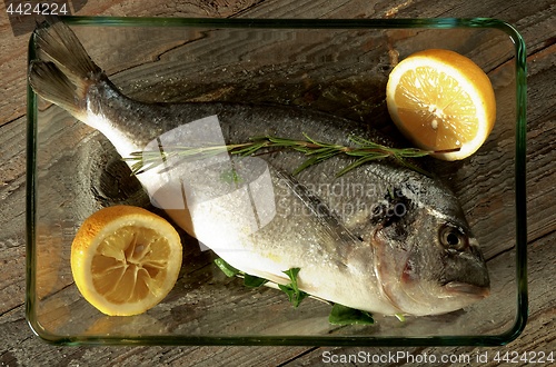 Image of Ready to Roast Fresh Sea Bream Fish