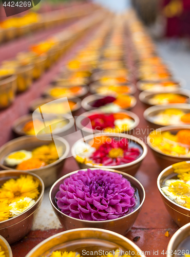 Image of Buddhist flower offerings or gifts in bowls and rows