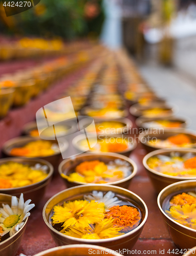 Image of Buddhist flower offerings or gifts in bowls and rows