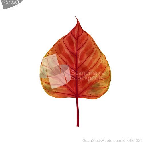 Image of Hand drawn watercolor leaf isolated on white background, digital