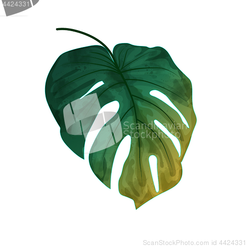 Image of Hand drawn watercolor leaf isolated on white background, digital