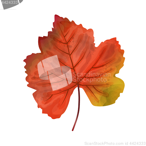Image of Hand drawn watercolor leaf isolated on white background, digital