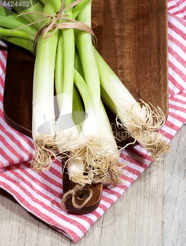 Image of Fresh Spring Onion