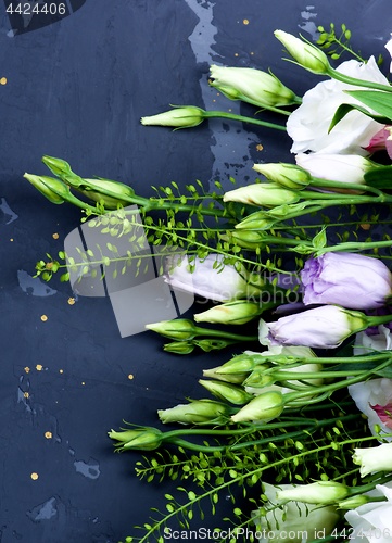 Image of Lisianthus Flowers Frame