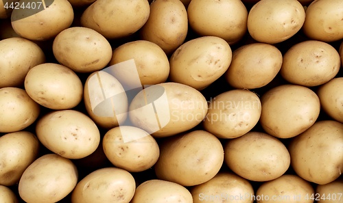 Image of Background of White Potato