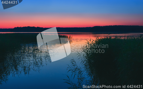 Image of Night Lake With Reeds After Sunset