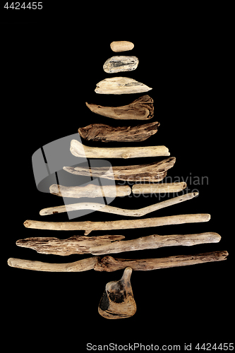 Image of Abstract Driftwood Tree