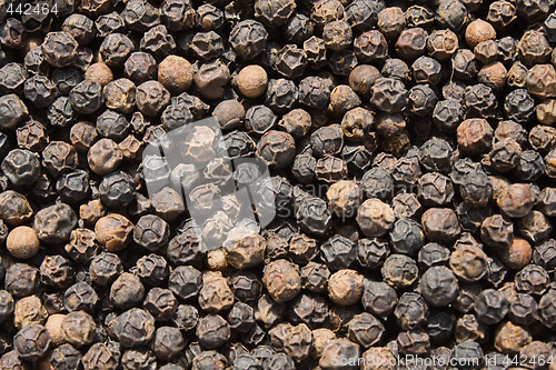 Image of Black pepper