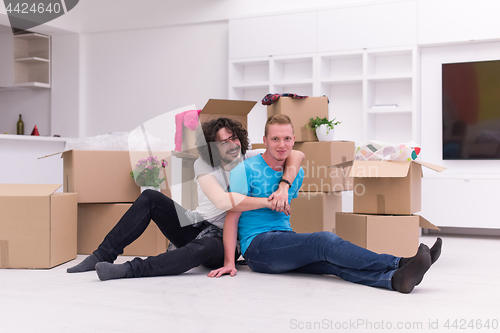 Image of young  gay couple moving  in new house