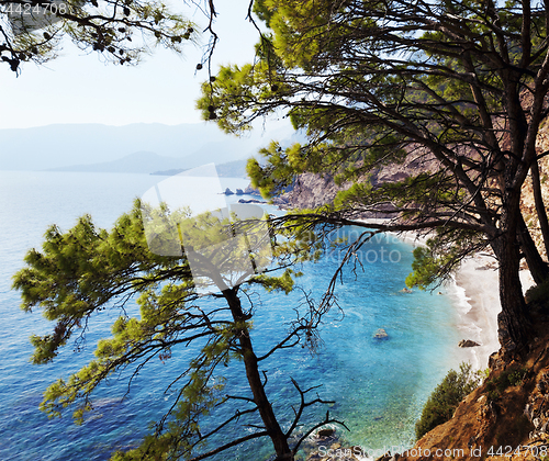 Image of Top view on sea beach through pine-trees at sun day