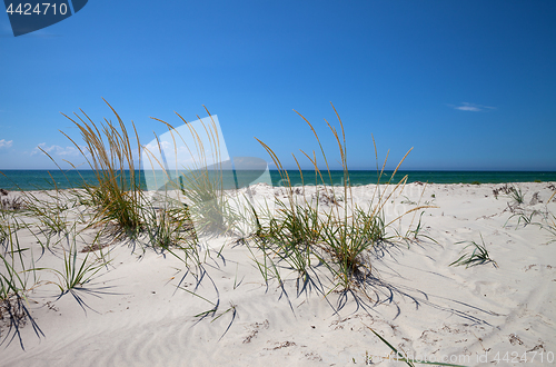 Image of Blue sky, sea and sand on deserted beach