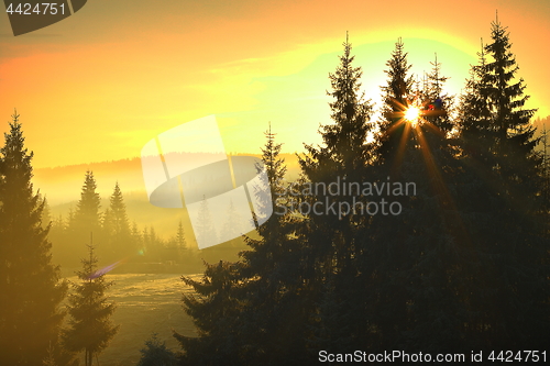 Image of sunrise over mountain forest