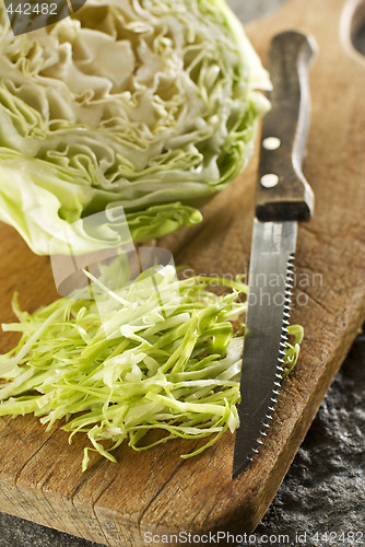 Image of cabbage