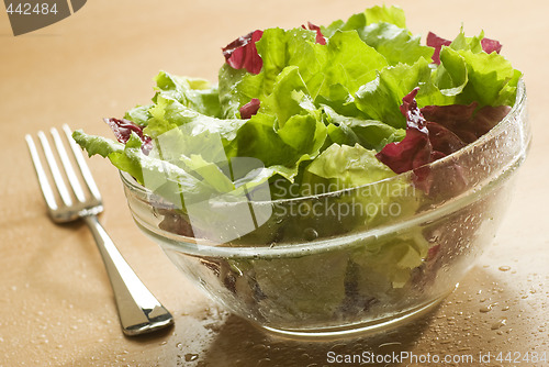 Image of salad