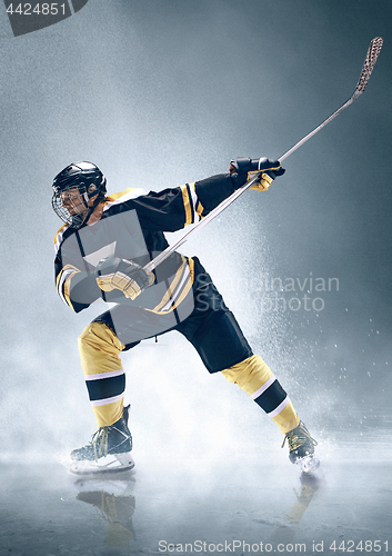 Image of Ice hockey player in action.