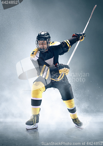 Image of Ice hockey player in action.