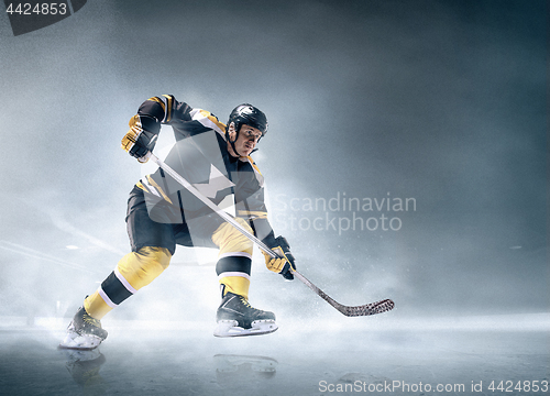 Image of Ice hockey player in action.