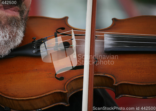 Image of Fiddler