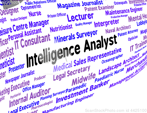 Image of Intelligence Analyst Indicates Intellectual Capacity And Ability