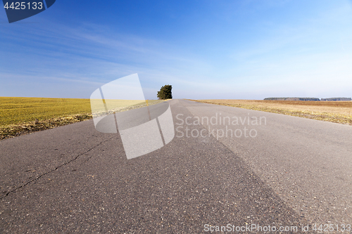 Image of rural road, tree