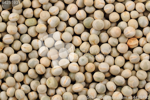 Image of dried pea background