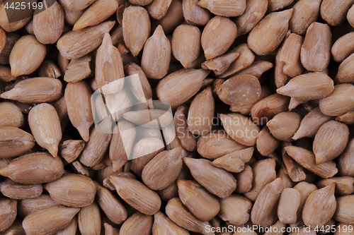 Image of sunflower seeds texture