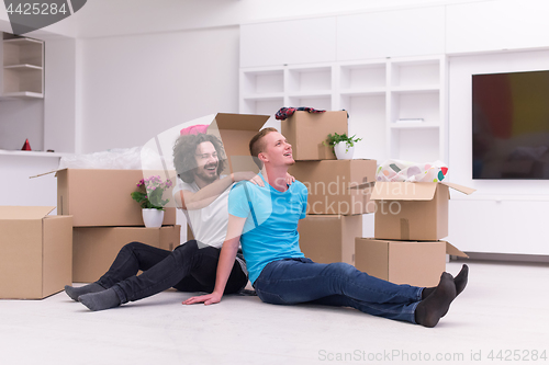 Image of young  gay couple moving  in new house