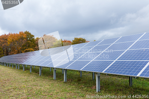 Image of Solar panel plant