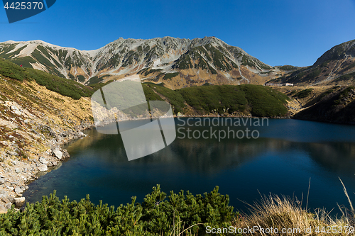 Image of Beautiful Mikurigaike pond 