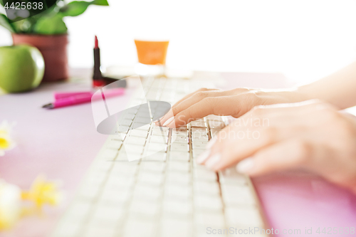 Image of Woman and fruit diet while working on computer in office