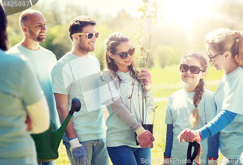 Image of group of volunteers with trees and rake in park