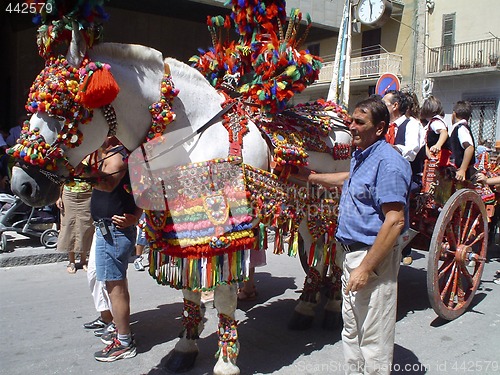 Image of Folklore horse carriage Sicily