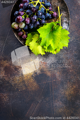 Image of grape