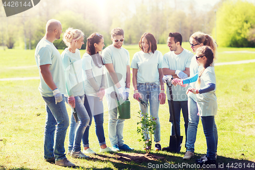 Image of group of volunteers planting tree in park