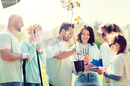 Image of group of volunteers planting trees in park