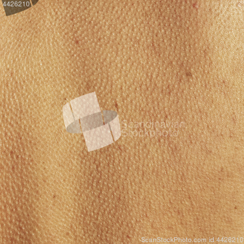 Image of abstract background skin of an human spine