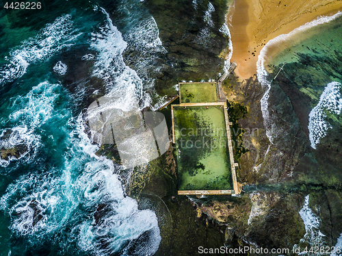 Image of Morning laps at Mona Vale rock pool