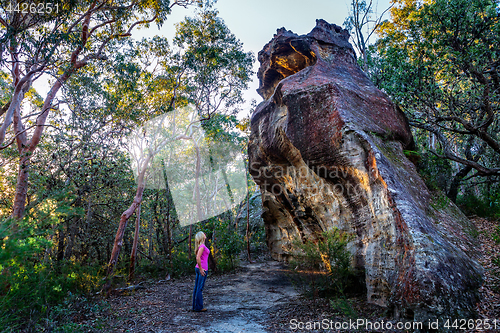 Image of Bushwalker exploring national park wilderness