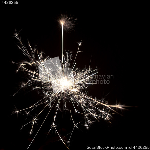 Image of typical sparkler with dark background