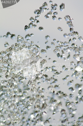 Image of Water drops