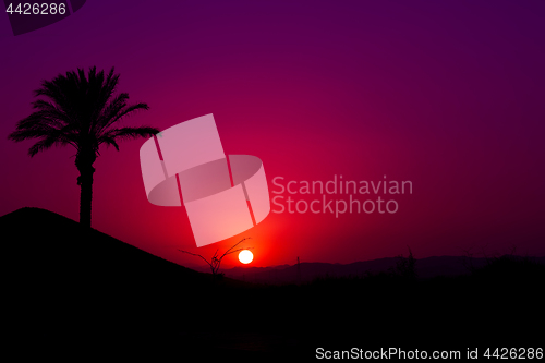 Image of Pink Andalusian sunset