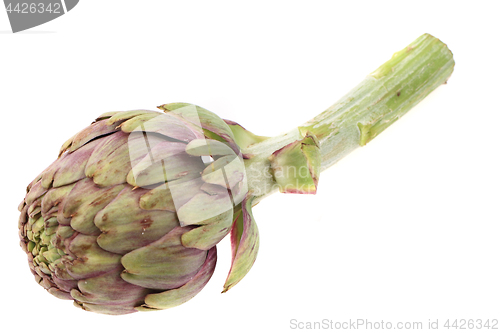 Image of fresh artichoke isolated