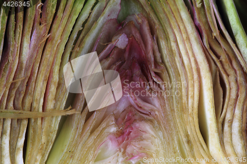 Image of fresh artichoke texture