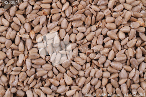 Image of sunflower seeds texture