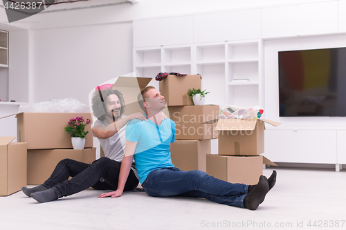 Image of young  gay couple moving  in new house