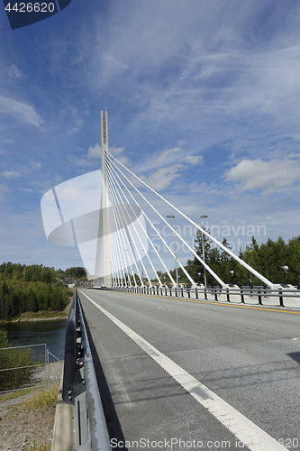 Image of The Bridge