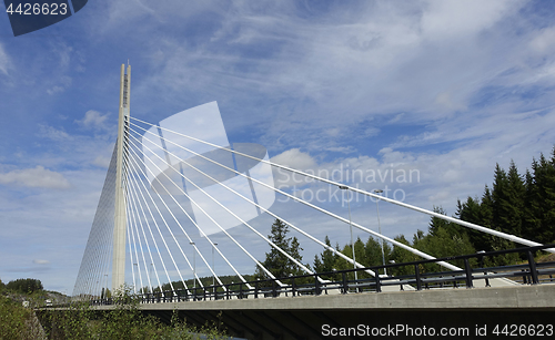 Image of The Bridge