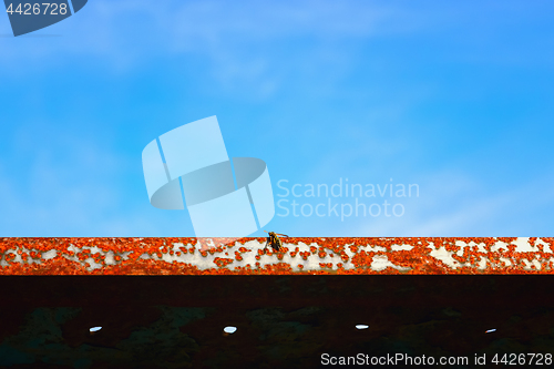 Image of Wasp Sits On A Rusty Metal Texture Against The Sky