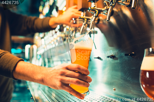 Image of Hand of bartender pouring a large lager beer in tap.